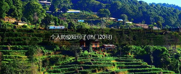 个人防疫短句子(热门20句),第1张