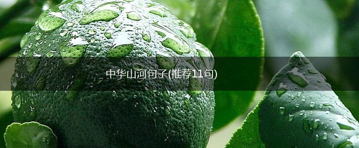 中华山河句子(推荐11句),第1张