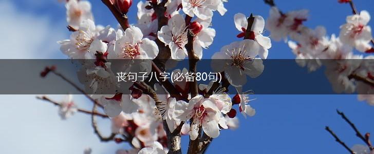 丧句子八字(必备80句),第1张