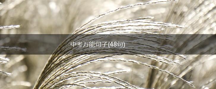 中考万能句子(48句),第1张