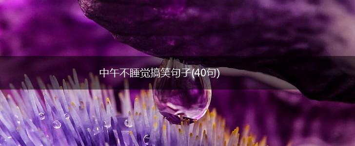 中午不睡觉搞笑句子(40句),第1张