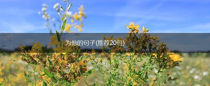 为他的句子(推荐20句),第1张