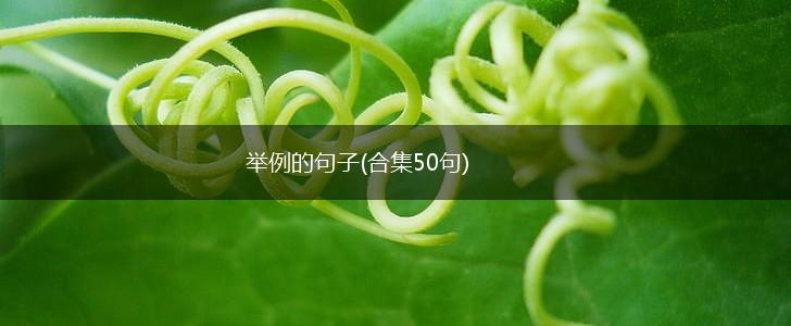 举例的句子(合集50句),第1张