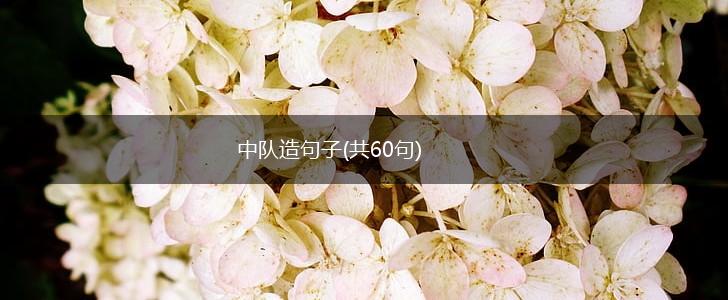 中队造句子(共60句),第1张