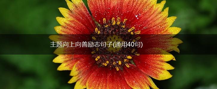 主题向上向善励志句子(通用40句),第1张
