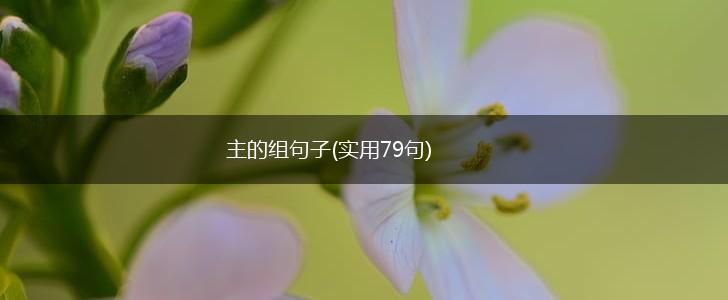主的组句子(实用79句),第1张