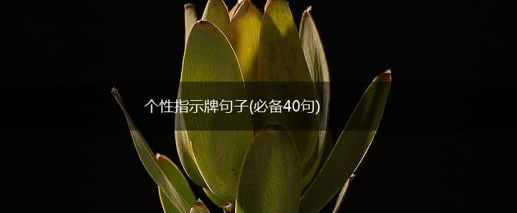 个性指示牌句子(必备40句),第1张