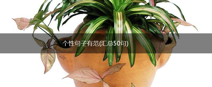 个性句子有范(汇总50句),第1张