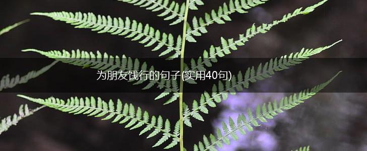 为朋友饯行的句子(实用40句),第1张