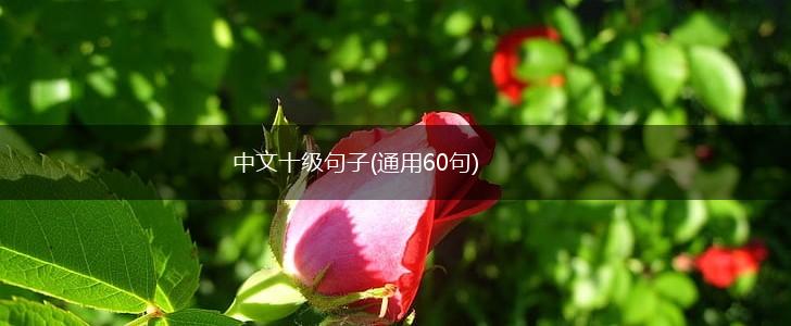 中文十级句子(通用60句),第1张