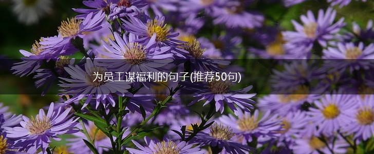 为员工谋福利的句子(推荐50句),第1张