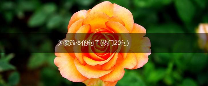 为爱改变的句子(热门20句),第1张