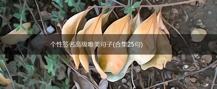 个性签名高级唯美句子(合集25句),第1张