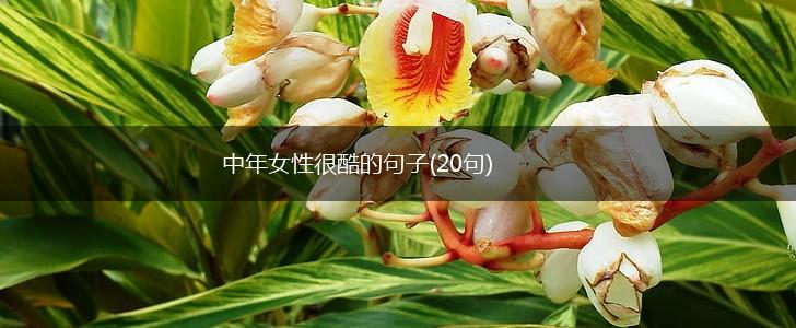 中年女性很酷的句子(20句),第1张