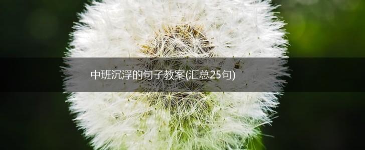 中班沉浮的句子教案(汇总25句),第1张