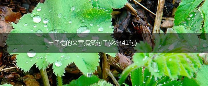 丰子恺的文章搞笑句子(必备41句),第1张