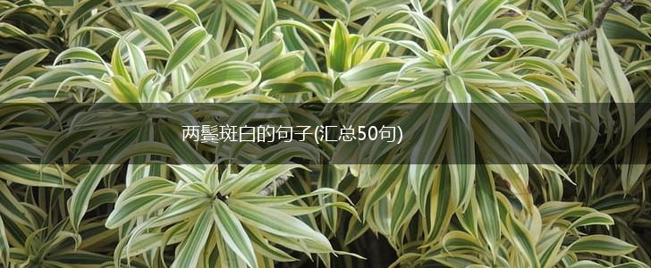 两鬓斑白的句子(汇总50句),第1张