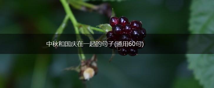 中秋和国庆在一起的句子(通用60句),第1张