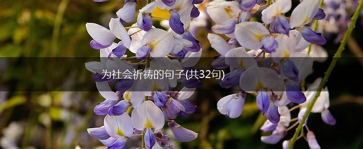 为社会祈祷的句子(共32句),第1张