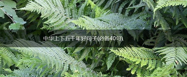 中华上下五千年好句子(必备40句),第1张