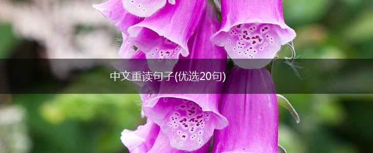 中文重读句子(优选20句),第1张