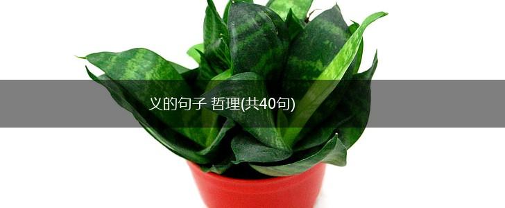 义的句子 哲理(共40句),第1张