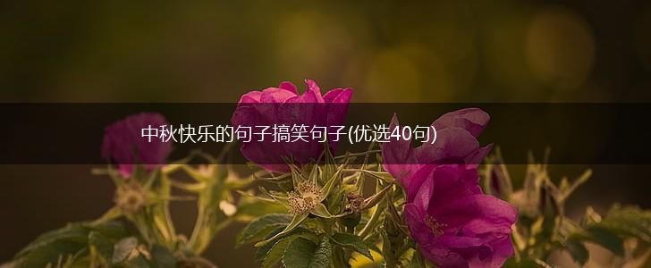 中秋快乐的句子搞笑句子(优选40句),第1张