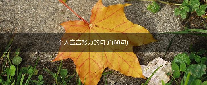 个人宣言努力的句子(60句),第1张