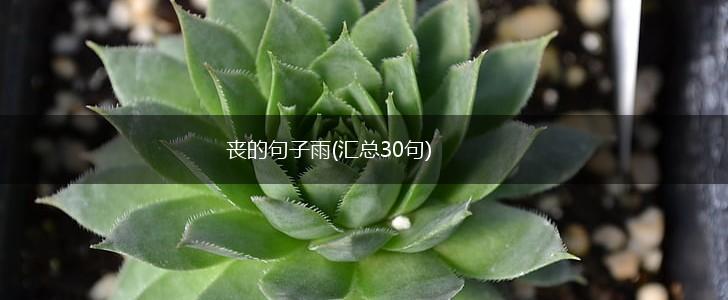 丧的句子雨(汇总30句),第1张