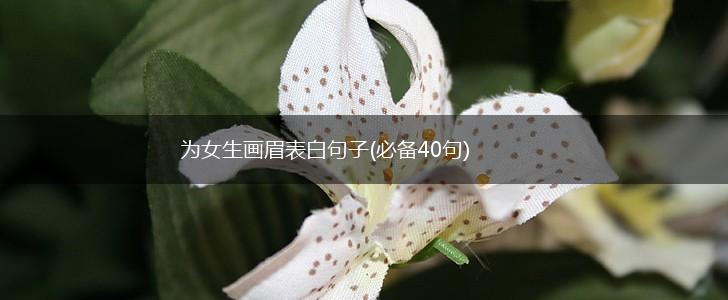 为女生画眉表白句子(必备40句),第1张