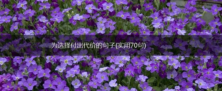 为选择付出代价的句子(实用70句),第1张