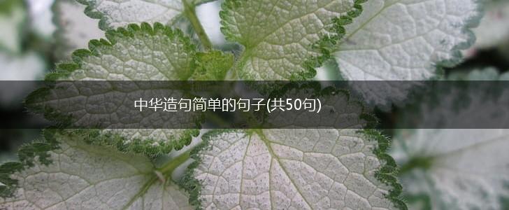 中华造句简单的句子(共50句),第1张