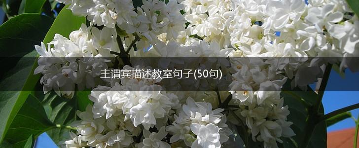主谓宾描述教室句子(50句),第1张