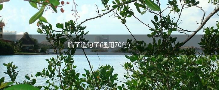 临了造句子(通用70句),第1张