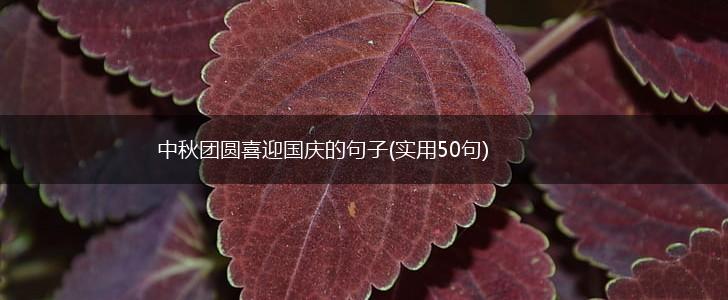 中秋团圆喜迎国庆的句子(实用50句),第1张
