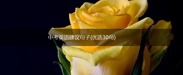 中考英语建议句子(优选30句),第1张