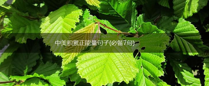 中美积累正能量句子(必备7句),第1张
