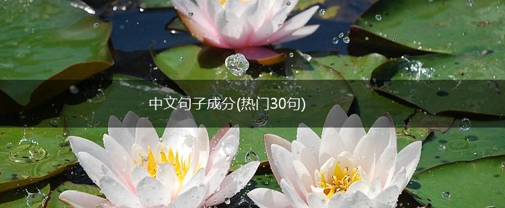 中文句子成分(热门30句),第1张