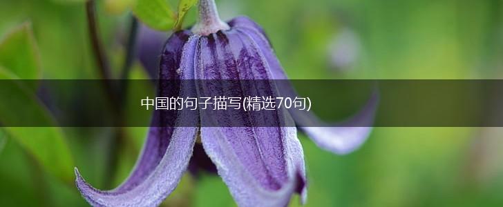 中国的句子描写(精选70句),第1张