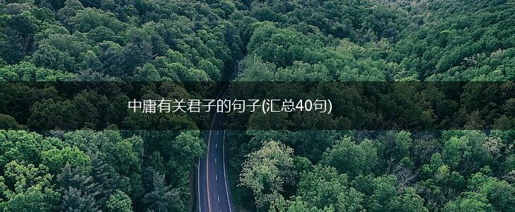 中庸有关君子的句子(汇总40句),第1张
