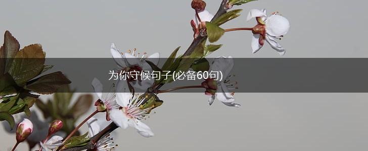 为你守候句子(必备60句),第1张