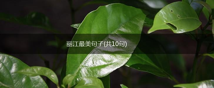 丽江最美句子(共10句),第1张