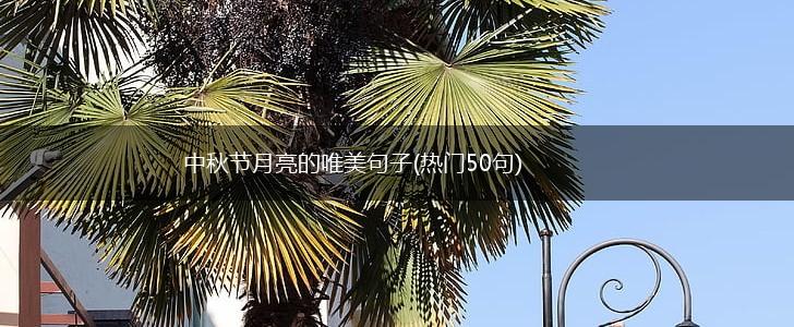 中秋节月亮的唯美句子(热门50句),第1张