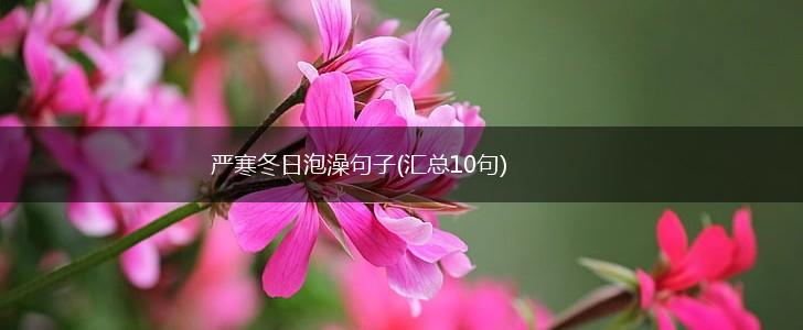 严寒冬日泡澡句子(汇总10句),第1张