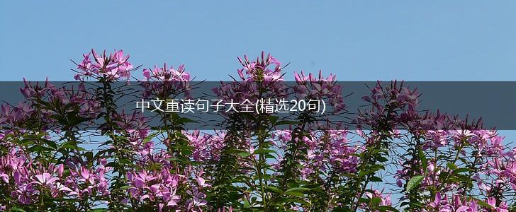 中文重读句子大全(精选20句),第1张