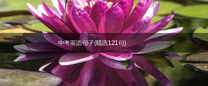 中考英语句子(精选121句),第1张