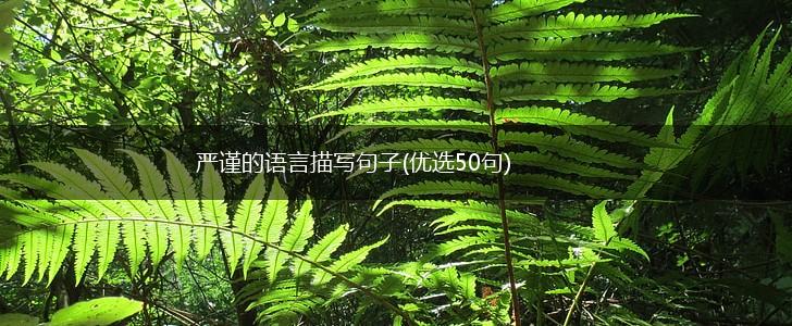 严谨的语言描写句子(优选50句),第1张