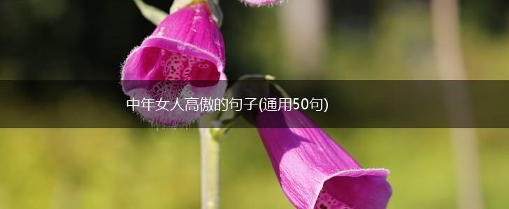中年女人高傲的句子(通用50句),第1张