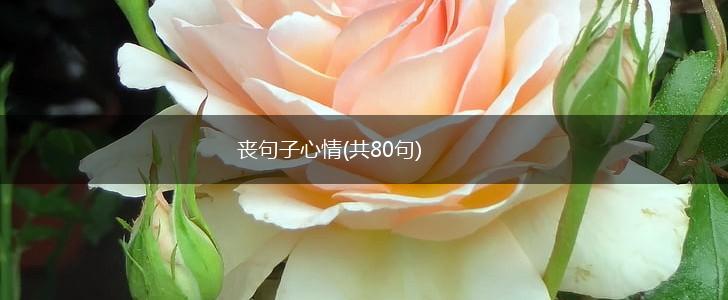 丧句子心情(共80句),第1张