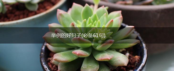 举例的好句子(必备61句),第1张